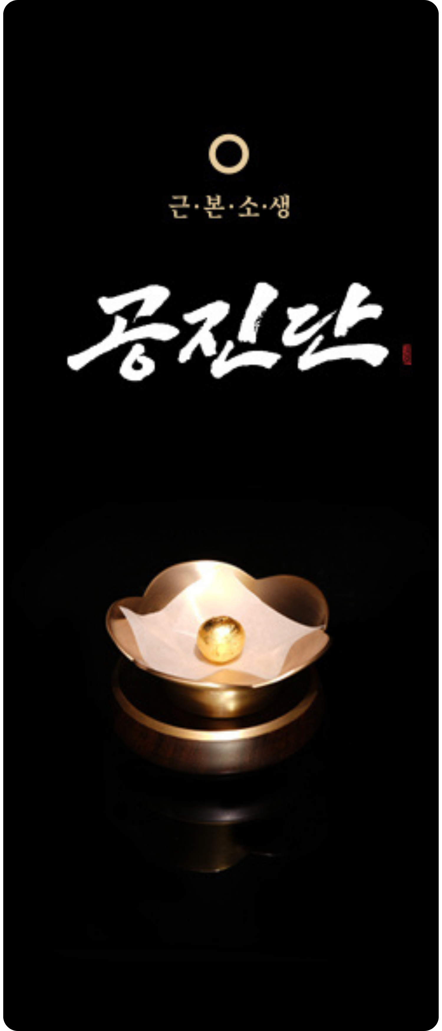 공진단 제품 안내